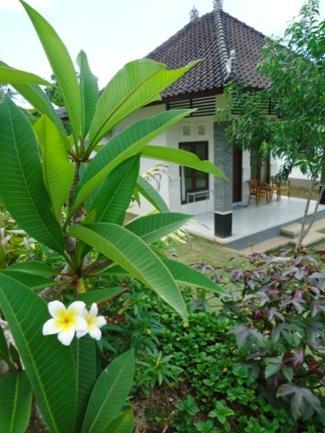 Uluwatu Bingin Family Bungalow מראה חיצוני תמונה